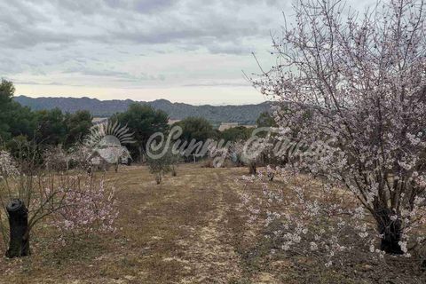 Landejendom i Yecla, Murcia, Yecla - € 119.995 | Ref: SF0443 - foto 39